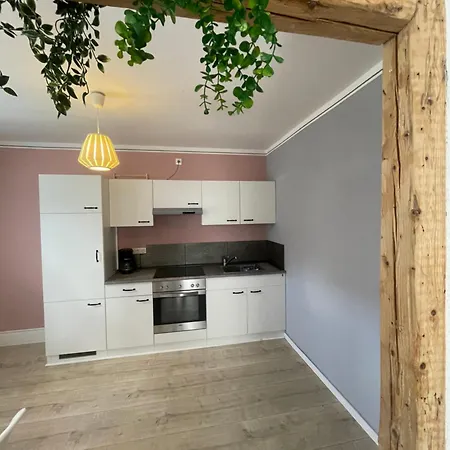 Apartmenthaus Elbblick Bad Schandau Exterior foto