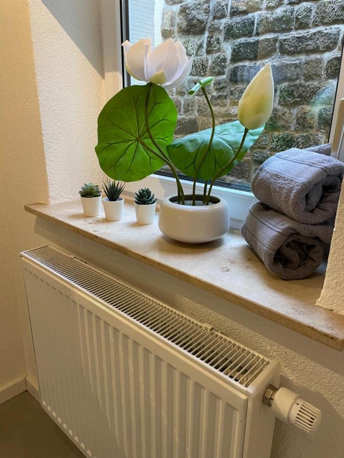 Apartmenthaus Elbblick Bad Schandau